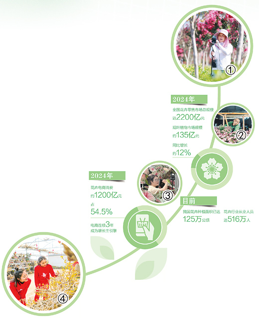 配资平台查询官网 从寻常植物变成网红单品，小小绿植变身记！