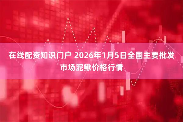 在线配资知识门户 2026年1月5日全国主要批发市场泥鳅价格行情